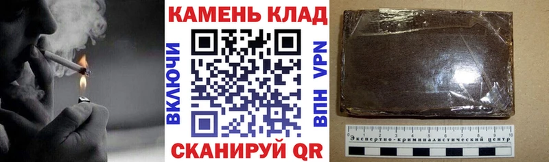 как найти закладки  Шенкурск  ГАШИШ Cannabis 