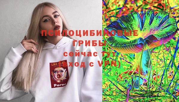 ALPHA-PVP Алексеевка