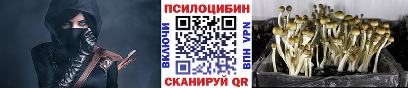 Галлюциногенные грибы GOLDEN TEACHER  Шенкурск 